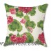 Plow Hearth Outdoor Throw Pillow OCGB1159